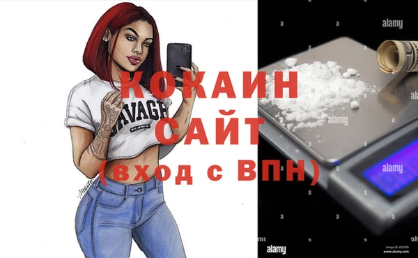 кокс Белокуриха