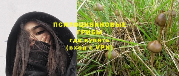 кокс Белокуриха