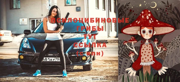 кокс Белокуриха