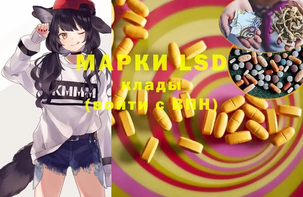 стаф Беломорск
