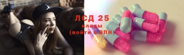 стаф Беломорск