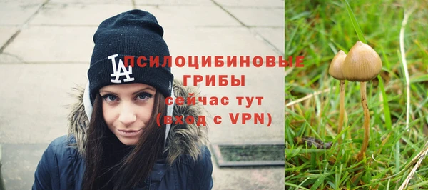 прущие крисы Белоозёрский