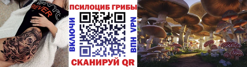 Галлюциногенные грибы Magic Shrooms  omg ссылки  Горняк 